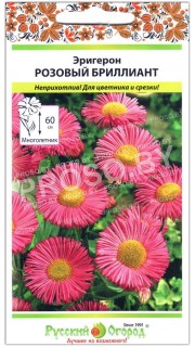 Эригерон Розовый бриллиант