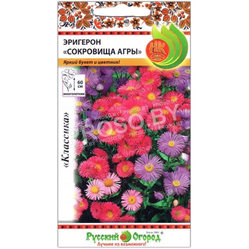 Эригерон Сокровище Агры