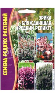 Эрика Блуждающая