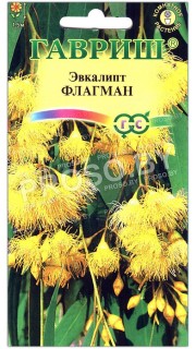 Эвкалипт Флагман