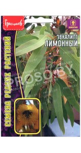 Эвкалипт Лимонный