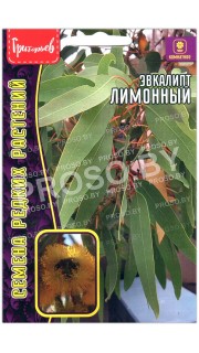 Эвкалипт Лимонный