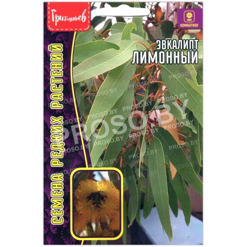 Эвкалипт Лимонный