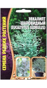 Эвкалипт Шаровидный
