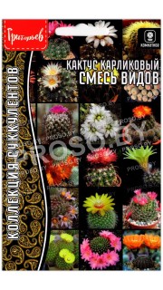 Кактус карликовый Смесь видов