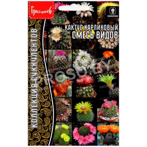 Кактус карликовый Смесь видов