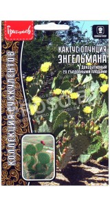Кактус опунция Энгельмана