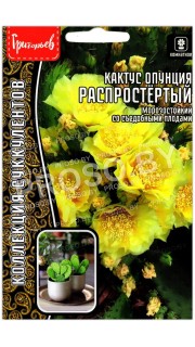 Кактус опунция Распростертый