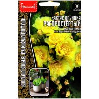 Кактус опунция Распростертый