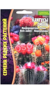 Кактусы Смесь