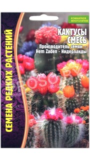 Кактусы Смесь