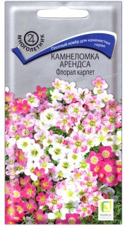 Камнеломка арендса Флорал карпет