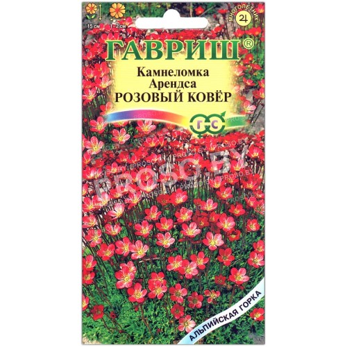 Камнеломка Розовый ковер-1