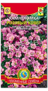 Камнеломка Розовый ковер