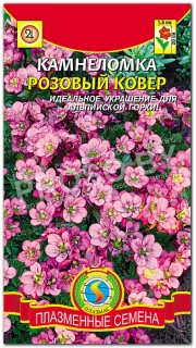 Камнеломка Розовый ковер