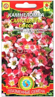 Камнеломка Самоцветы, смесь
