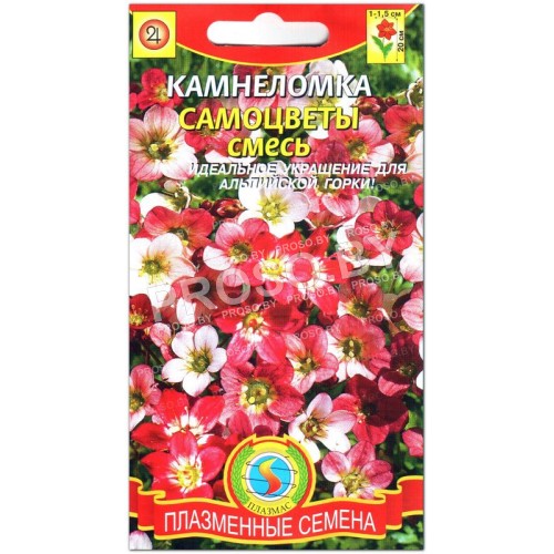 Камнеломка Самоцветы, смесь