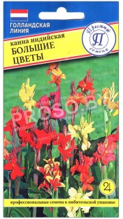 Канна индийская Большие цветы