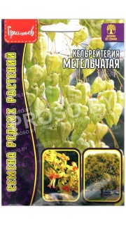 Кельрейтерия Метельчатая