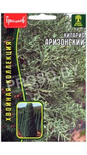 Кипарис Аризонский