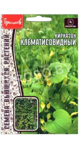 Кирказон Клематисовидный