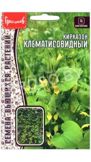 Кирказон Клематисовидный