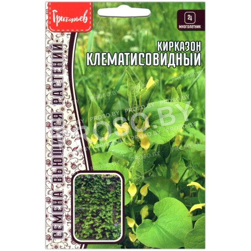 Кирказон Клематисовидный