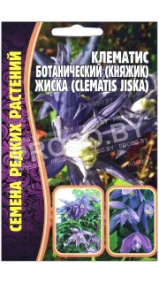 Клематис ботанический Княжик жиска