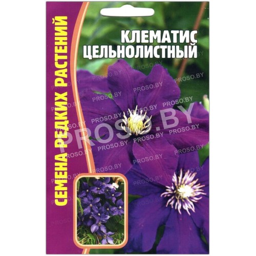 Клематис Цельнолистный