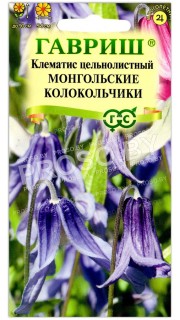 Клематис цельнолистный Монгольские колокольчики