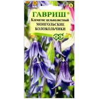 Клематис цельнолистный Монгольские колокольчики