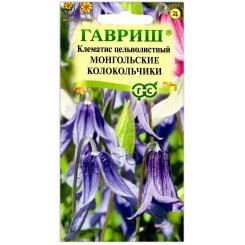 Клематис цельнолистный Монгольские колокольчики