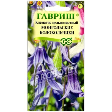 Клематис цельнолистный Монгольские колокольчики