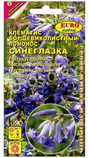 Клематис ломонос Синеглазка