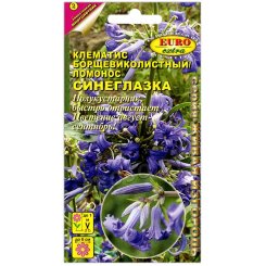 Клематис ломонос Синеглазка