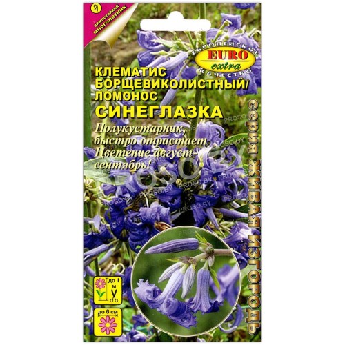 Клематис ломонос Синеглазка