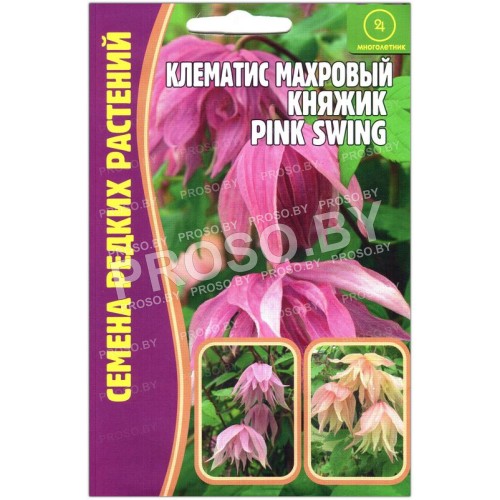 Клематис махровый Княжик (pink swing)