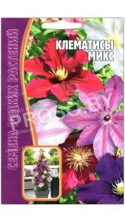 Клематис Микс