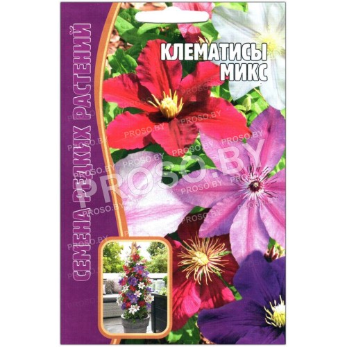 Клематис Микс