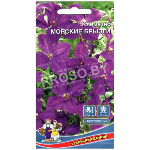 Клематис Морские брызги