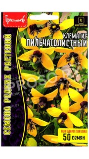Клематис Пильчатолистный