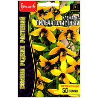 Клематис Пильчатолистный