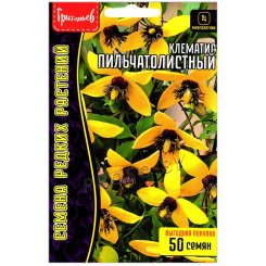 Клематис Пильчатолистный