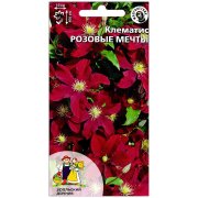 Клематис Розовые мечты