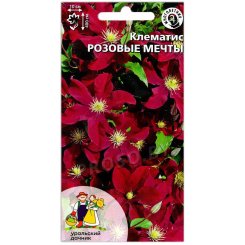 Клематис Розовые мечты