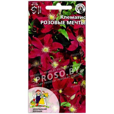 Клематис Розовые мечты