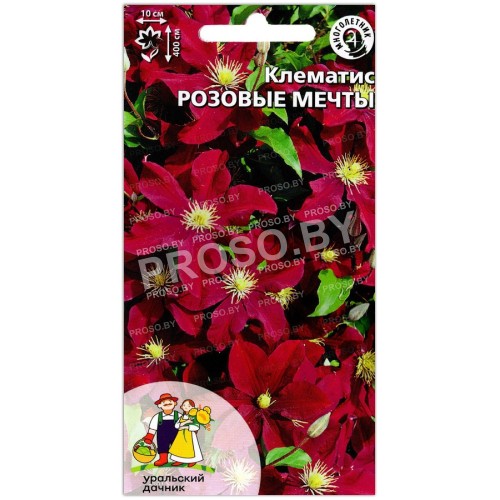 Клематис Розовые мечты