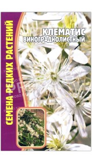 Клематис Винограднолистный