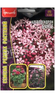 Клеродендрон Бунге