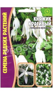 Княжик Красивый